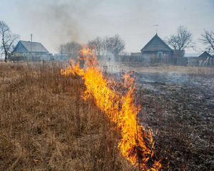 Спящая Мама порно. Секс со спящей мамой. Смотреть порно видео со спящей мамой бесплатно онлайн